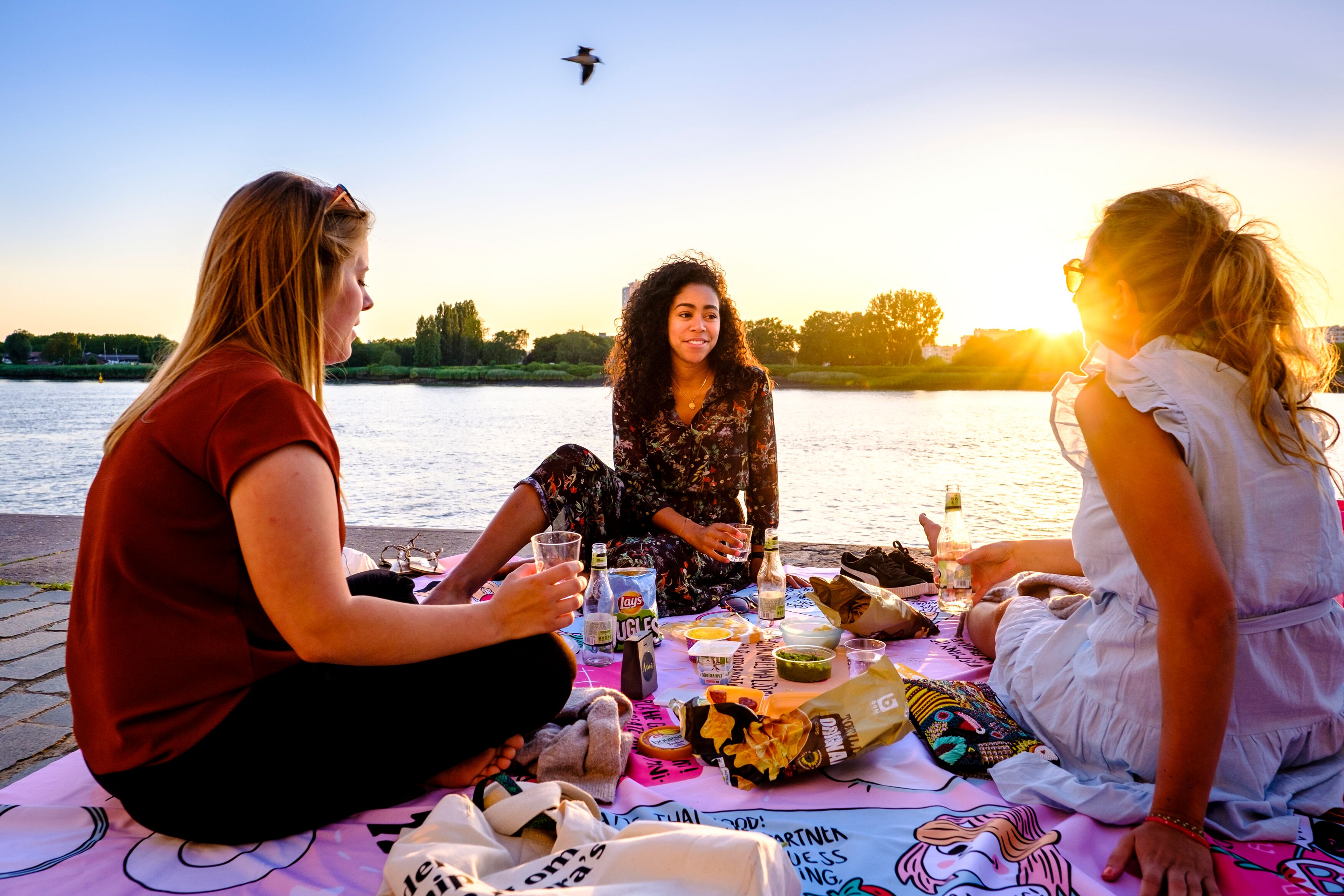 De Perfecte Picknick Plekjes In Antwerpen Visit Antwerpen