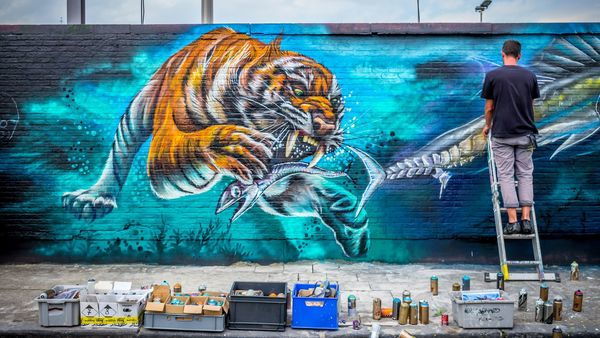 Een graffitikunstenaar werkt aan een grote muurschildering waarop een tijger die gulzig hapt naar een vis