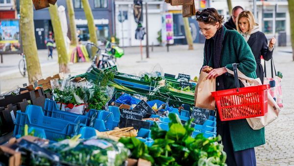 Biomarkt auf dem Falconplein