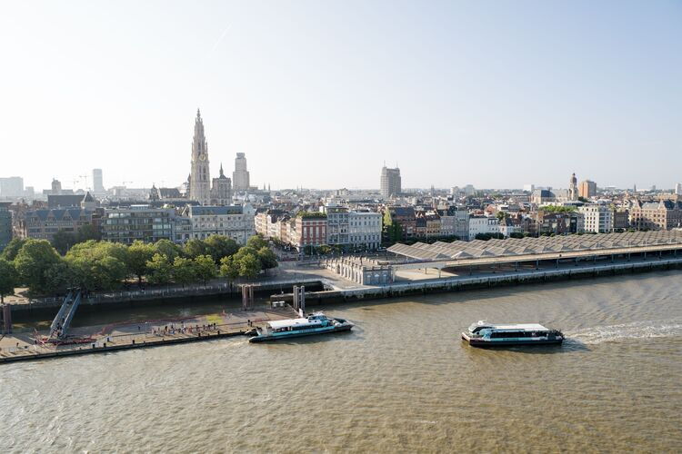 Water buses on the Scheldt in Antwerp, offering views of the skyline, the Cathedral of Our Lady and the quays on a clear day.