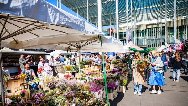 Saturday market at the Theaterplein
