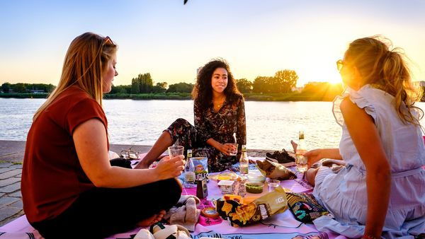 De perfecte picknick plekjes in Antwerpen