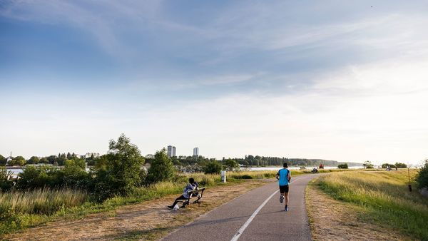 Jogging along the Scheldt curve