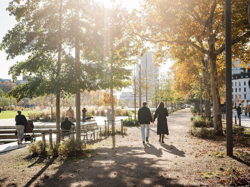Zuidpark