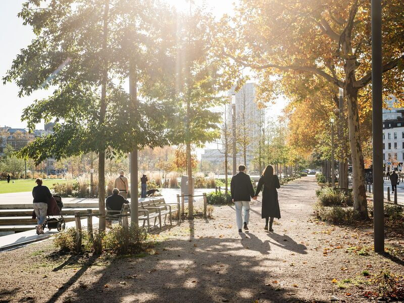 Zuidpark