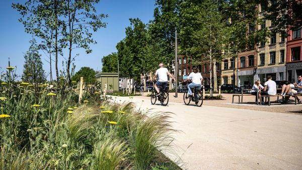 Fietsen langs de groene Gedempte Zuiderdokken