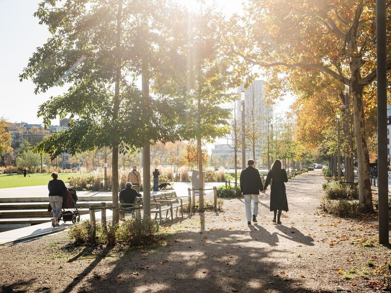 Zuidpark