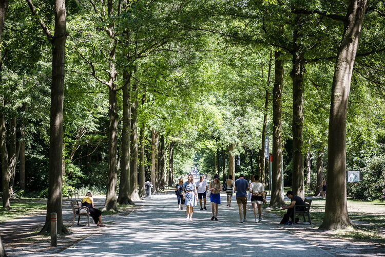 Park Den Brandt