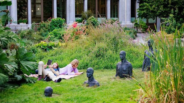 Een lezend koppel relaxt op het gras in den Botaniek