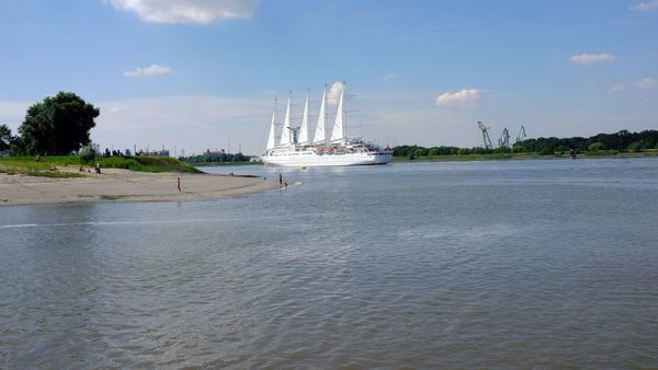 A cruise ship sails on the Scheldt through rural areas.