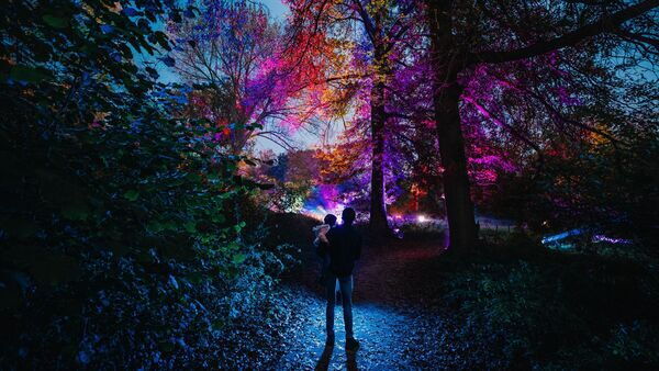 De Grote Schijn 2022, mensen kijken naar de verlichte bomen