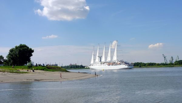 A cruise ship sails on the Scheldt past a beach and nature.
