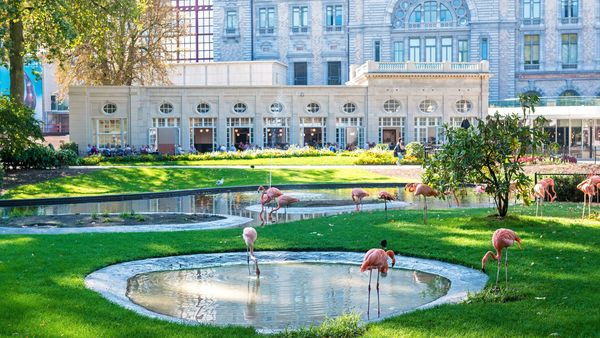 Flamingos in the ZOO, in the background Antwerp Central Station.