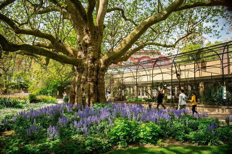 ZOO Antwerpen mensen wandelen voorbij de vogelières