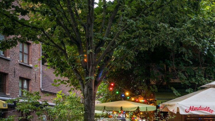 Dansing Chocola terras in schemerlicht. Verschillende tafels vol met mensen bevinden zich tussen het groen