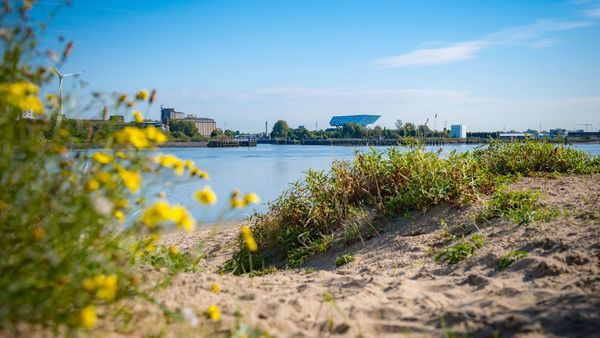 Beach of Sint-Anneke
