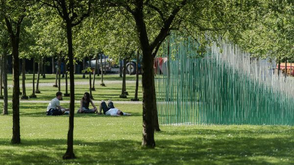 Various people sit and lie among the trees and artworks of the Middelheim Museum.