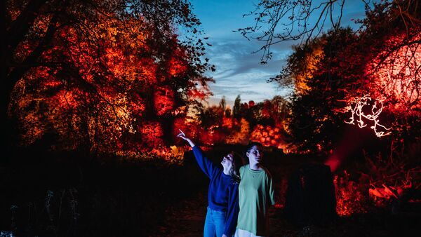 De Grote Schijn 2022, 2 mensen bewonderen de verlichting in bomen