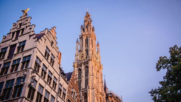  Cathedral of Our Lady