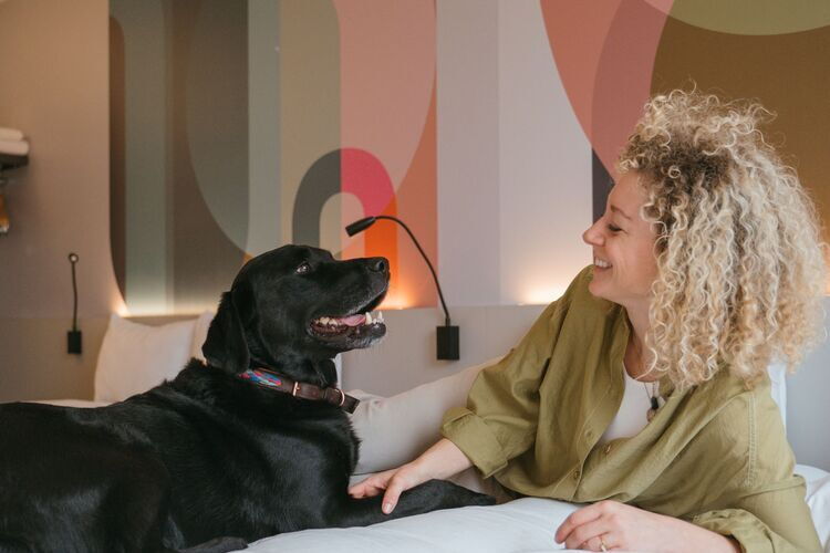 Brown labrador on hotel bed with his female owner