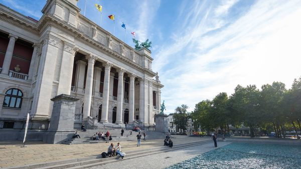 Tientallen mensen zitten en staan aan de trappen en het bassin voor de statige zuilen van het Koninklijk Museum voor Schone Kunsten Antwerpen.