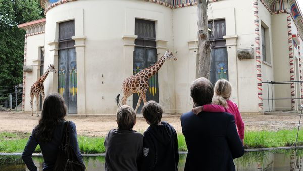 Famille observant les girafes au ZOO Antwerpen