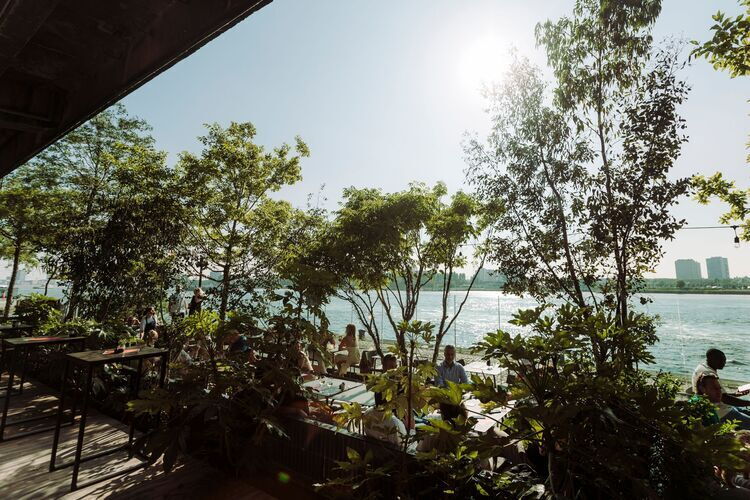 Sunny terrace with lots of greenery and a view of the water.