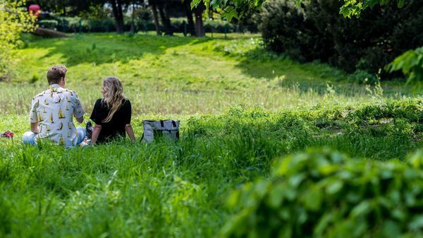Couple sitting in the grass in the park