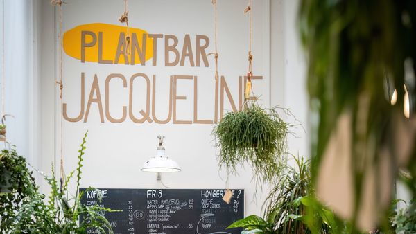 Lettering 'Plantbar Jacqueline' achter de toog in de plantbar