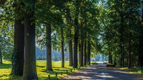 Nachtegalenpark