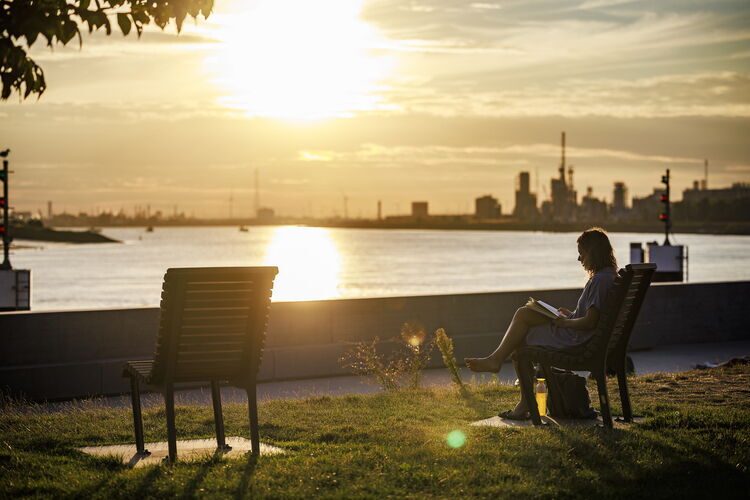 Persoon leest een boek op een bank in het Droogdokkenpark met zicht op het water en de Antwerpse skyline bij zonsondergang.