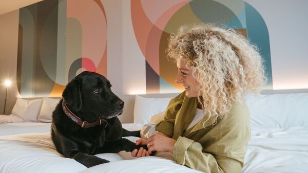 Dog lying on hotel bed with owner