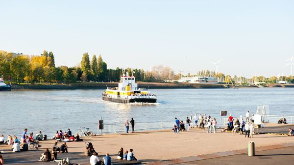 Des personnes sur un quai regardant un grand bateau sur l'eau avec des arbres en arrière-plan.
