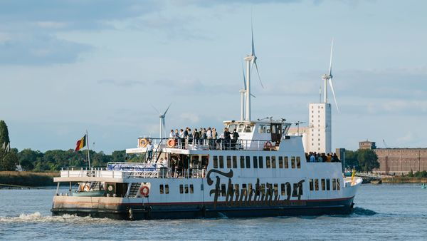 Flandria 24