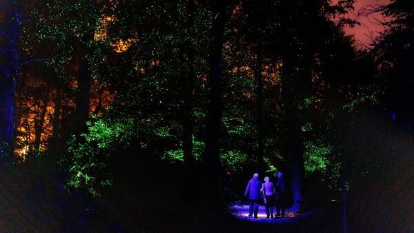 De Grote Schijn 2022, mensen wandelen onder verlichte bomen