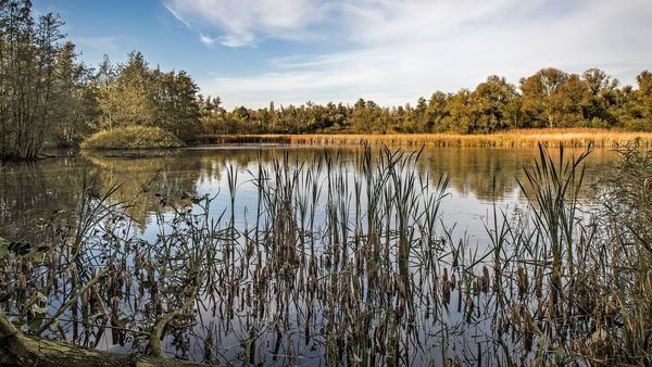 Hobokense Polder