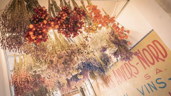 Doorgbloemen bij Wilder