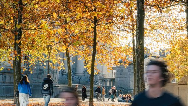 Herfst in de stad