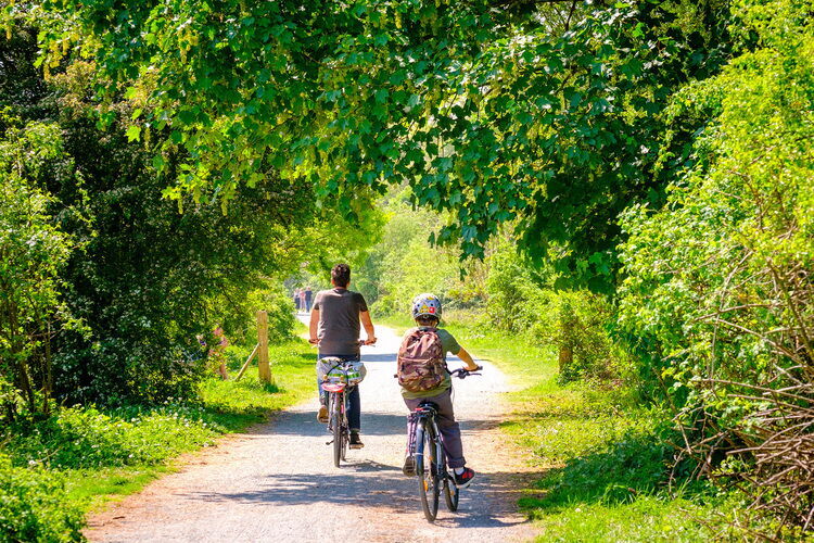 Vader en zoon fietsen in groene omgeving