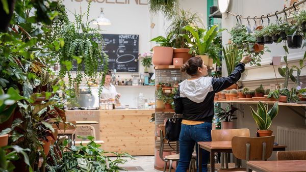 Meisje kijkt naar hangplantjes in Plantbar Jacqueline